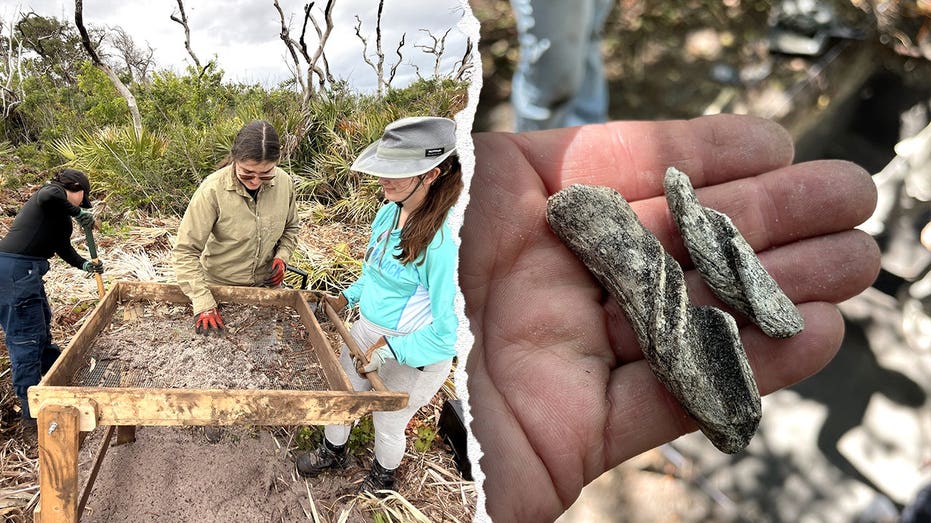 Ancient artifacts found beneath Cape Canaveral Space Force Station as one mystery still stumps researchers Townsville Accountants